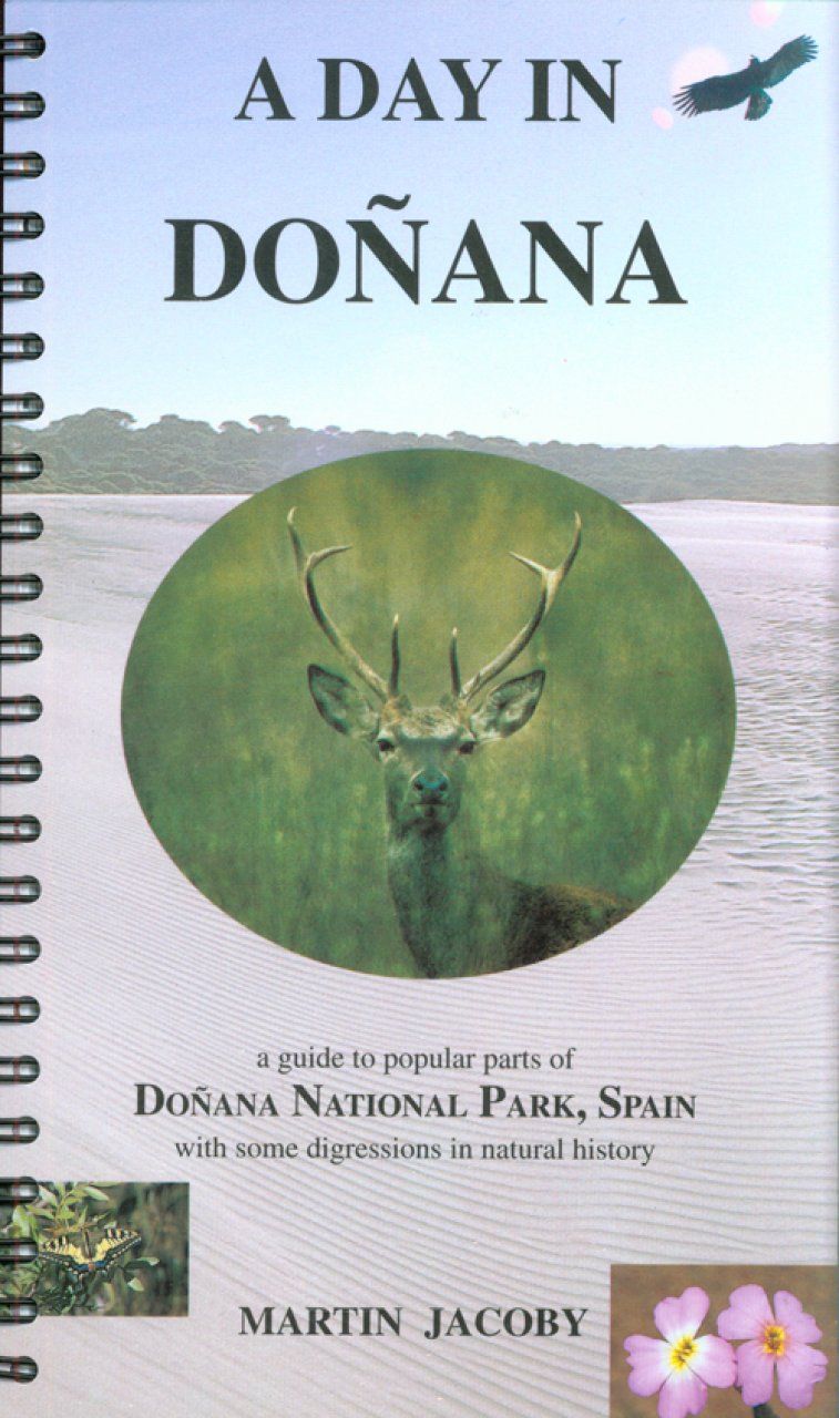 A Day in Doñana