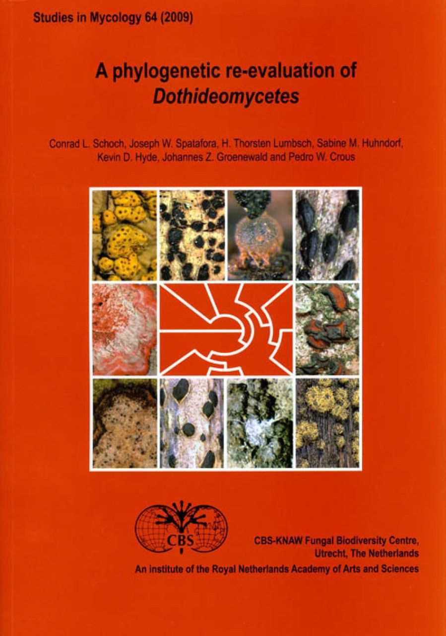 A Phylogenetic Re-Evaluation of Dothideomycetes