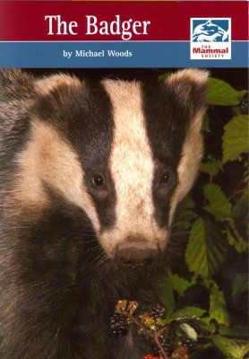 The Badger