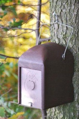 2KS Schwegler Common Dormouse Drey