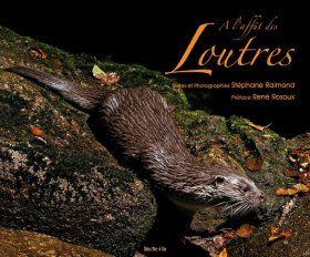 A l&#039;Affut des Loutres [On the Lookout for Otters]