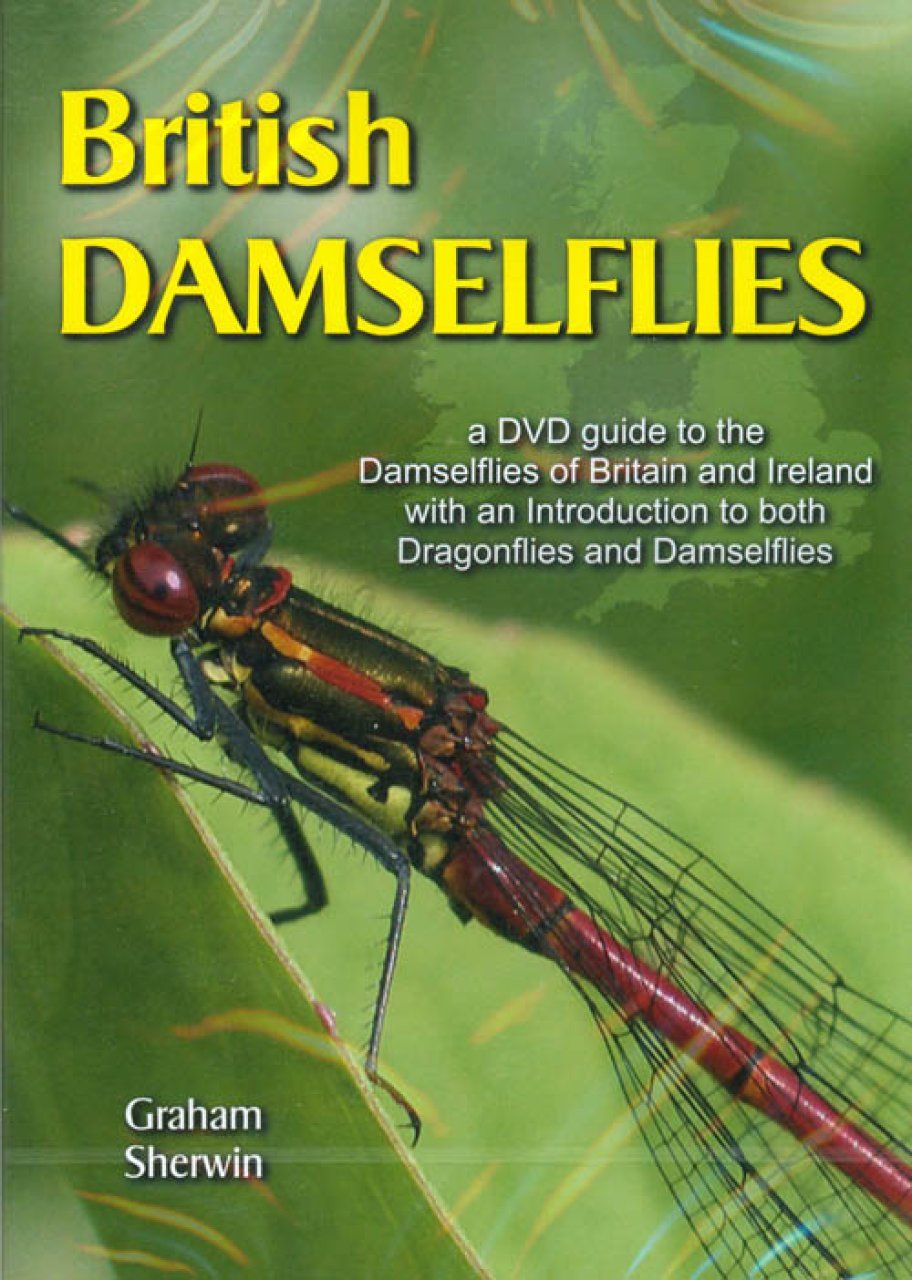 British Damselflies (All Regions)