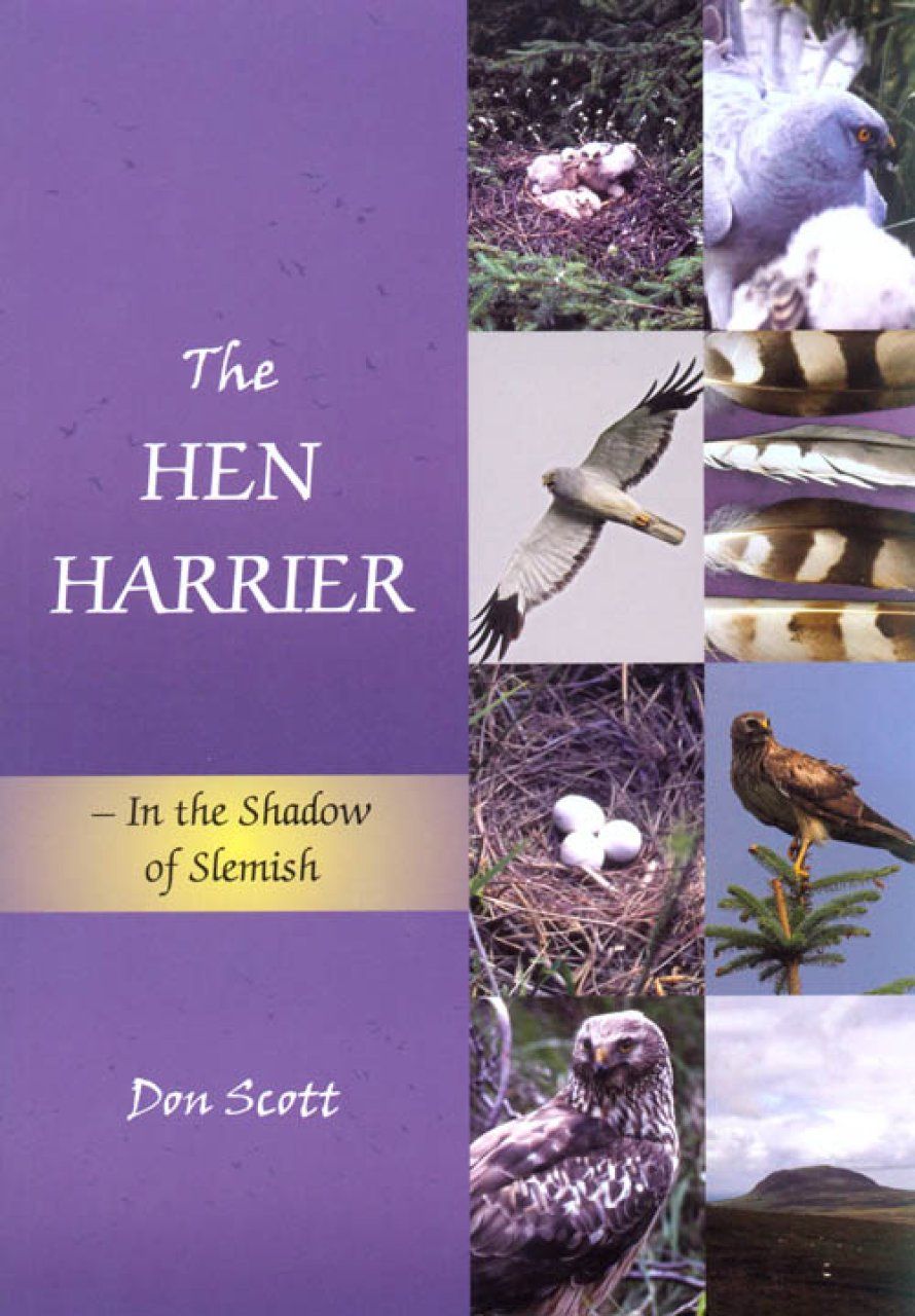 The Hen Harrier