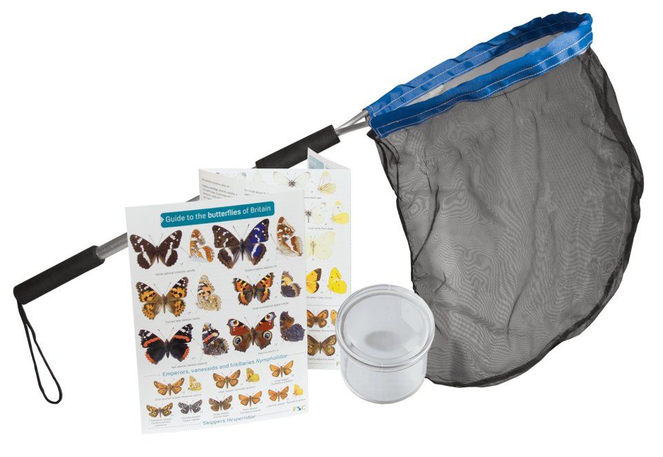 Starter Butterfly Kit