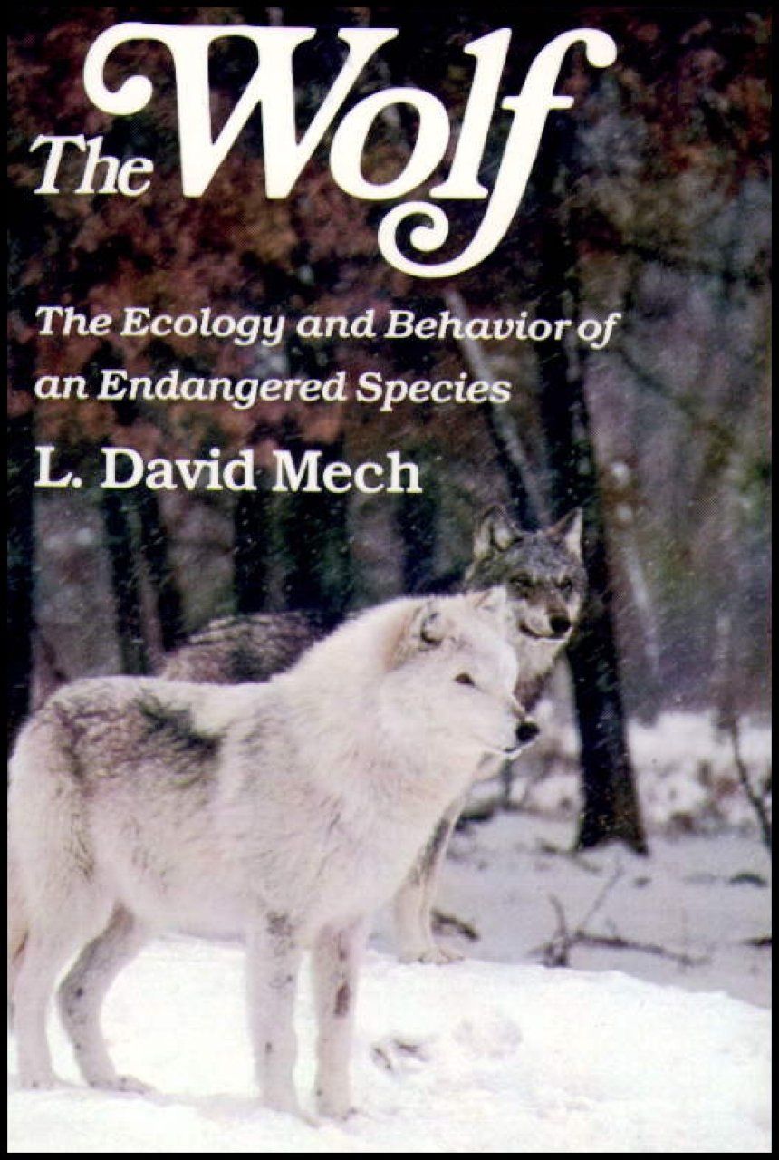 The Wolf