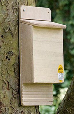 Flatpack Double Chamber Bat Box