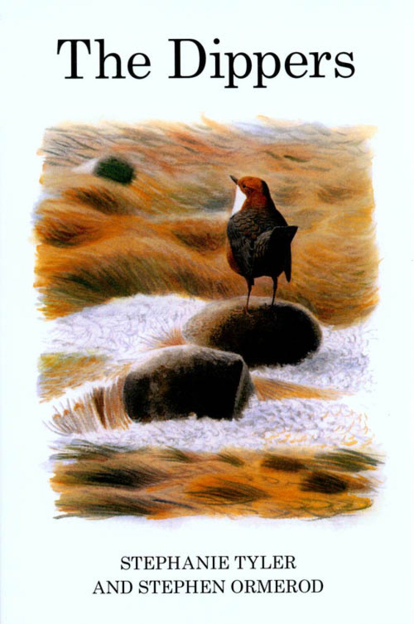 The Dippers