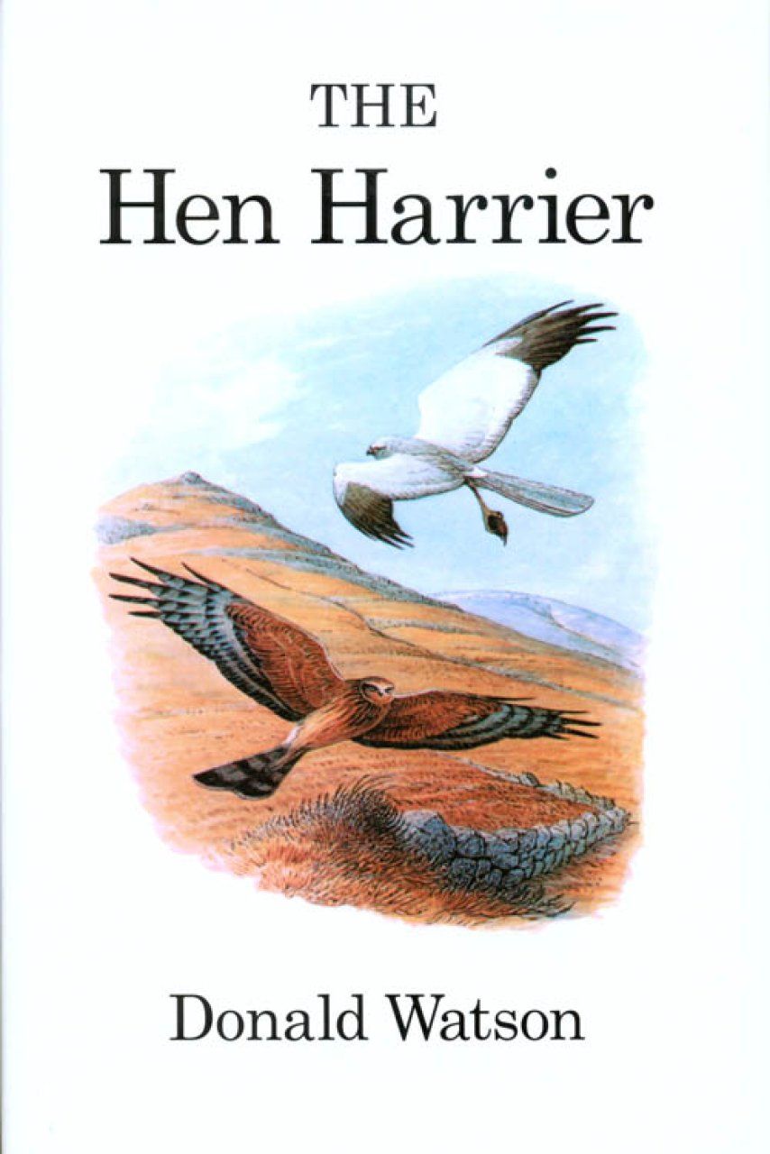 The Hen Harrier
