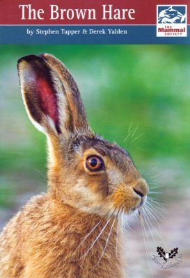 The Brown Hare