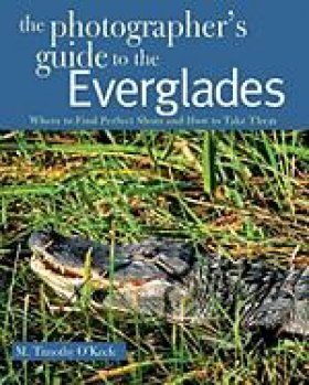 The Photographer&#039;s Guide to the Everglades