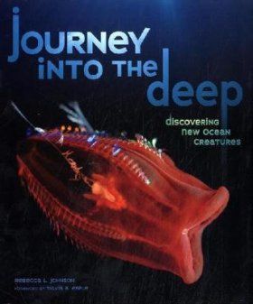 Journey Into the Deep