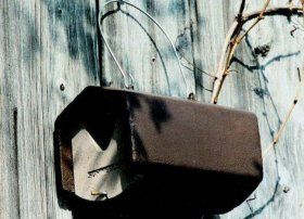 2HW Schwegler Nest Box
