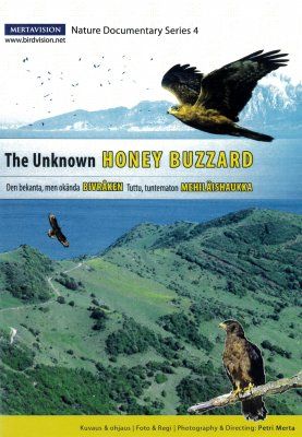 The Unknown Honey Buzzard (All Regions)