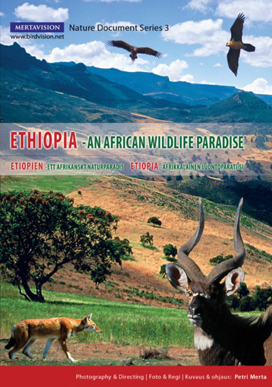 Ethiopia (All Regions)