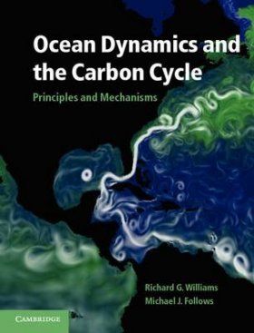Ocean Dynamics and the Carbon Cycle