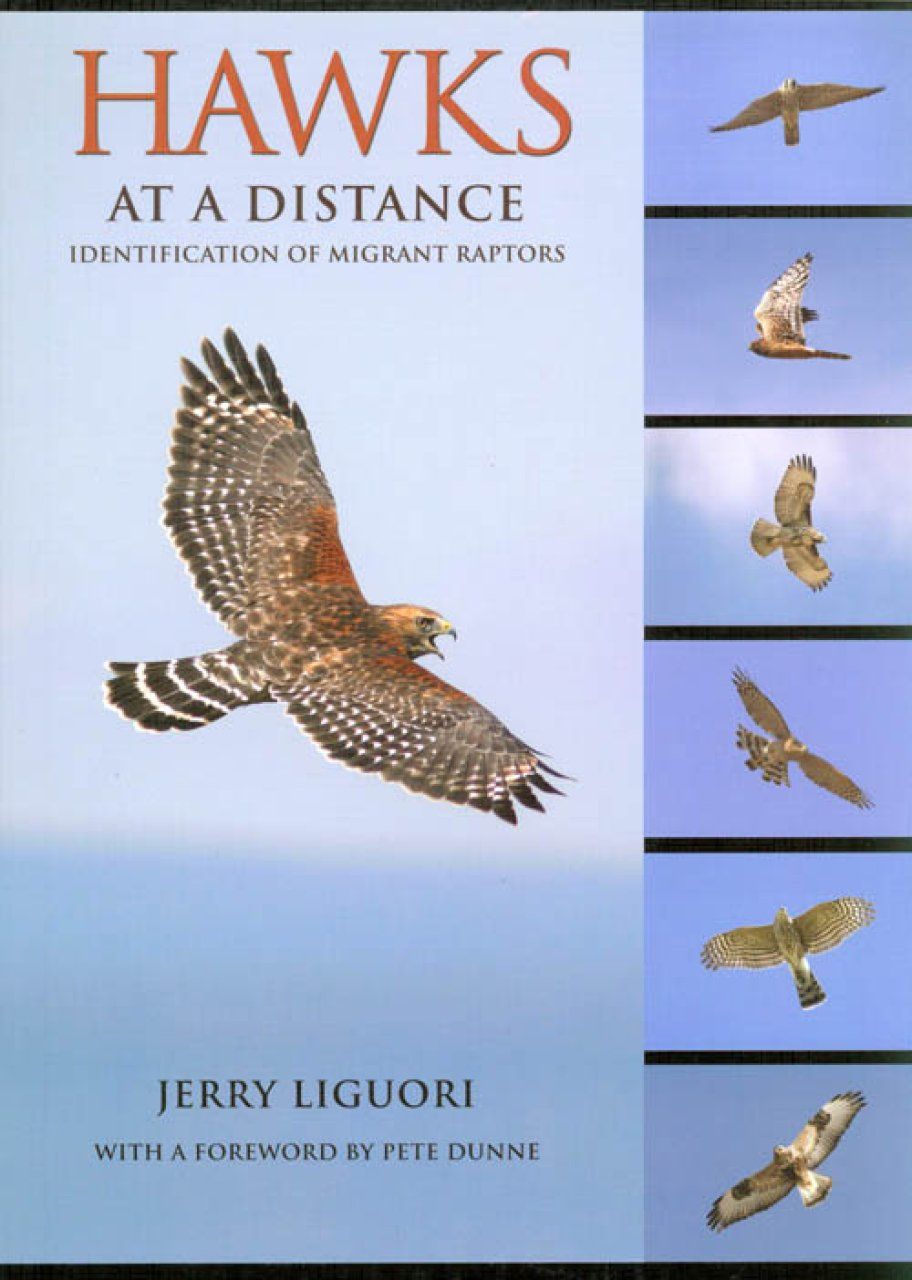 Hawks at a Distance