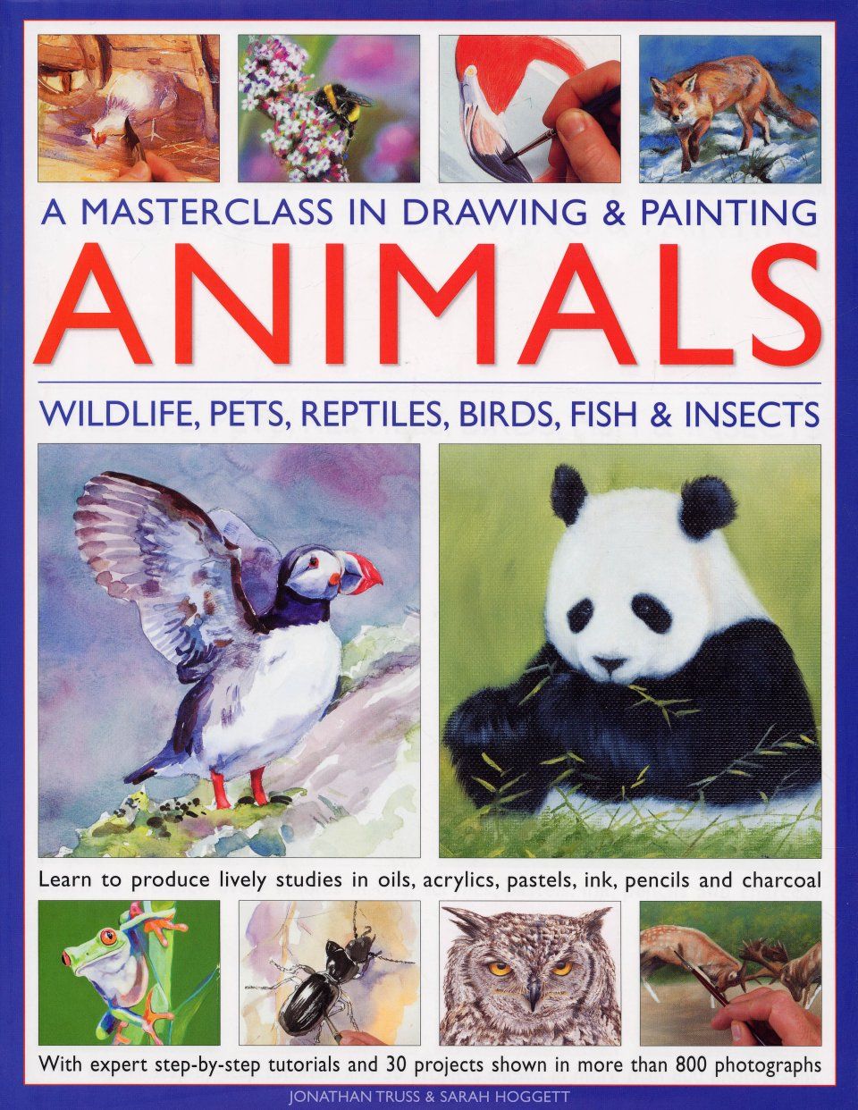 A Masterclass in Drawing and Painting Animals
