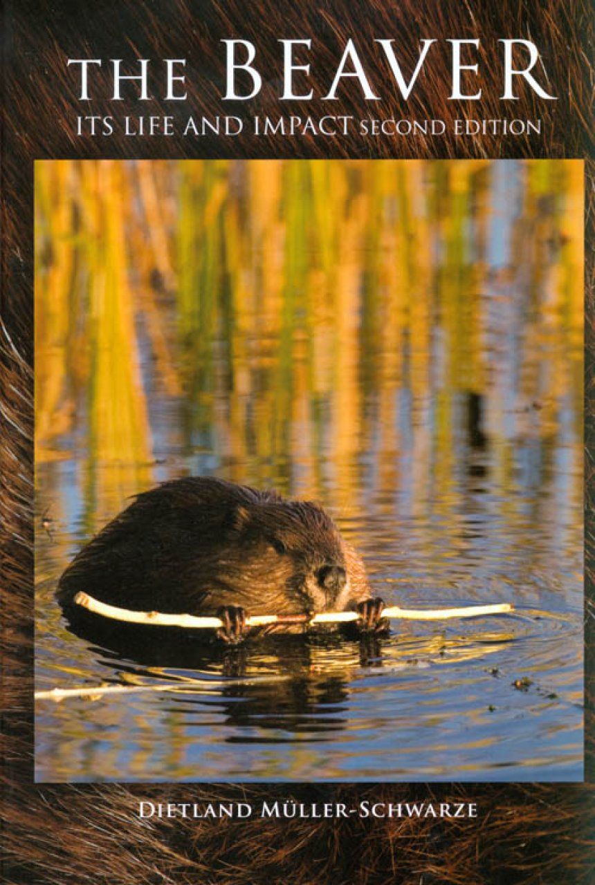 The Beaver