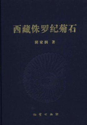 Jurassic Ammonites of Tibet