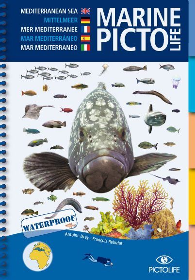 Marine Pictolife Mediterranean Sea [multilingual]