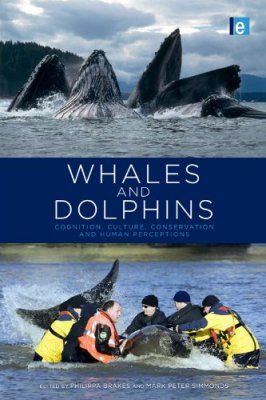 Whales and Dolphins