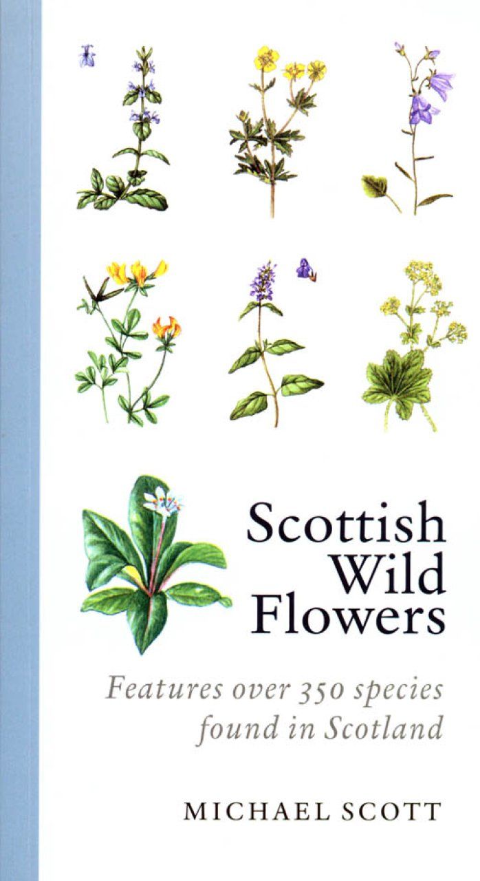 Scottish Wild Flowers