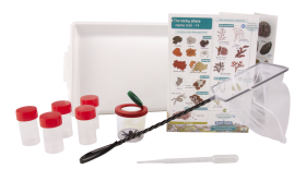 Educational Rock Pooling Kit
