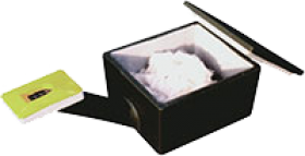 Schwegler Underground Bumble Bee Box