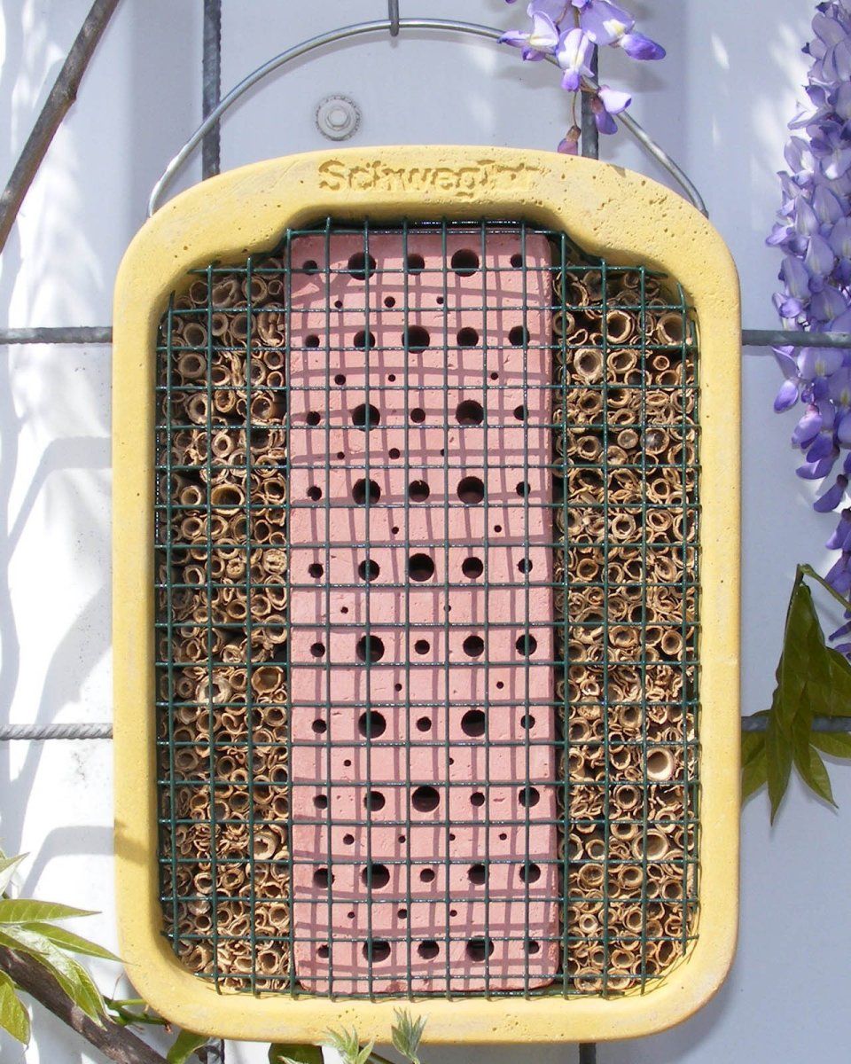 Schwegler Clay and Reed Insect Nest