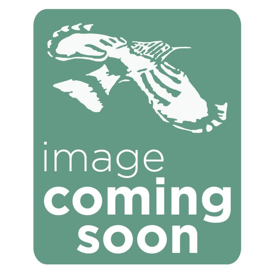 Avinet Canopy Mist Net