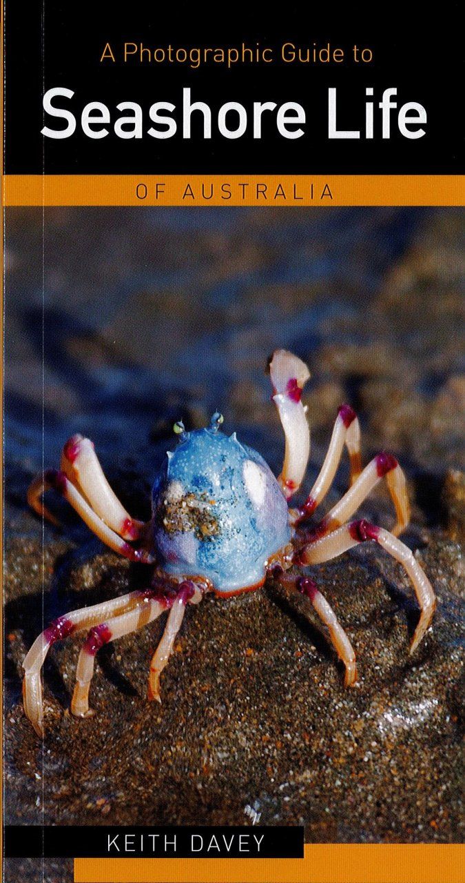 A Photographic Guide to Seashore Life of Australia