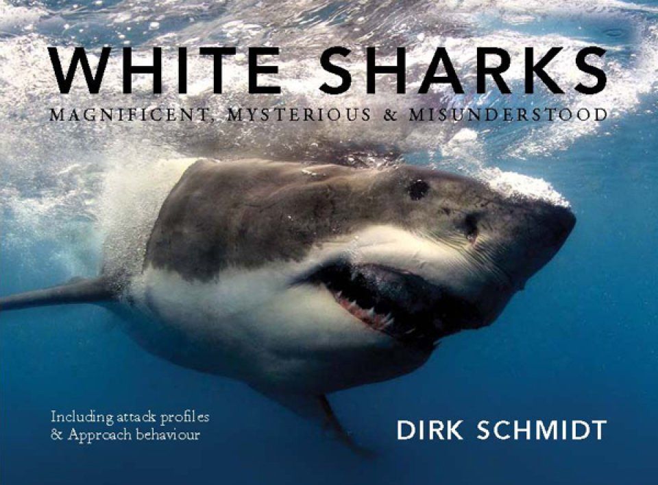 White Sharks