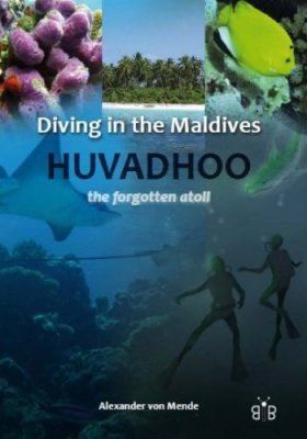 Diving in the Maldives