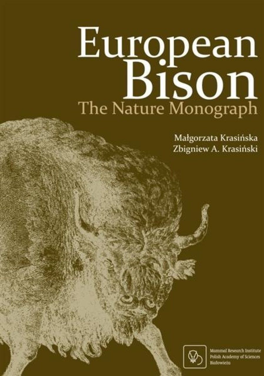 European Bison