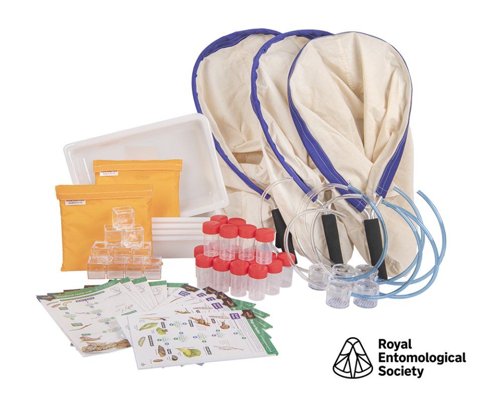 Royal Entomological Society Class Bug Hunting Kit (KS2 &amp; KS3)