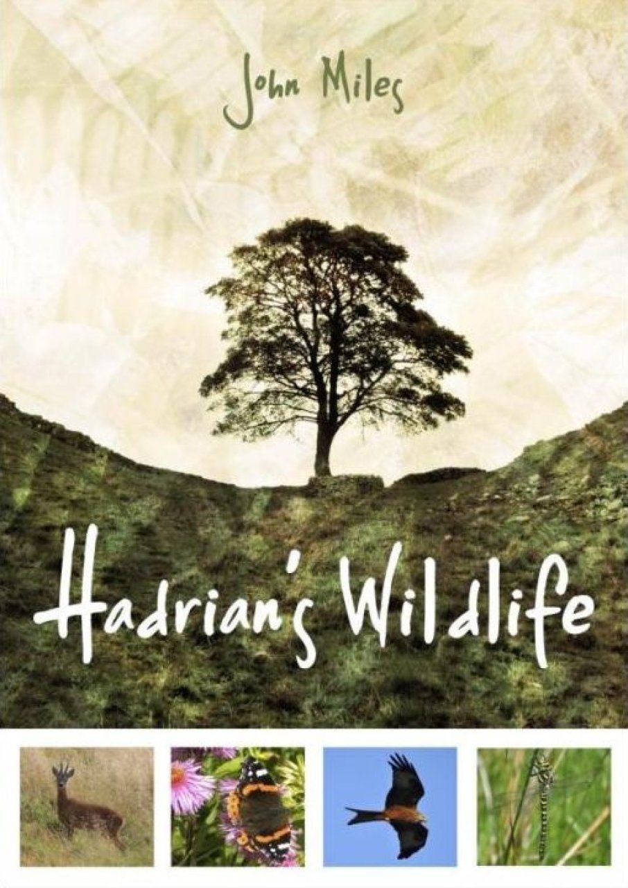 Hadrian&#039;s Wildlife