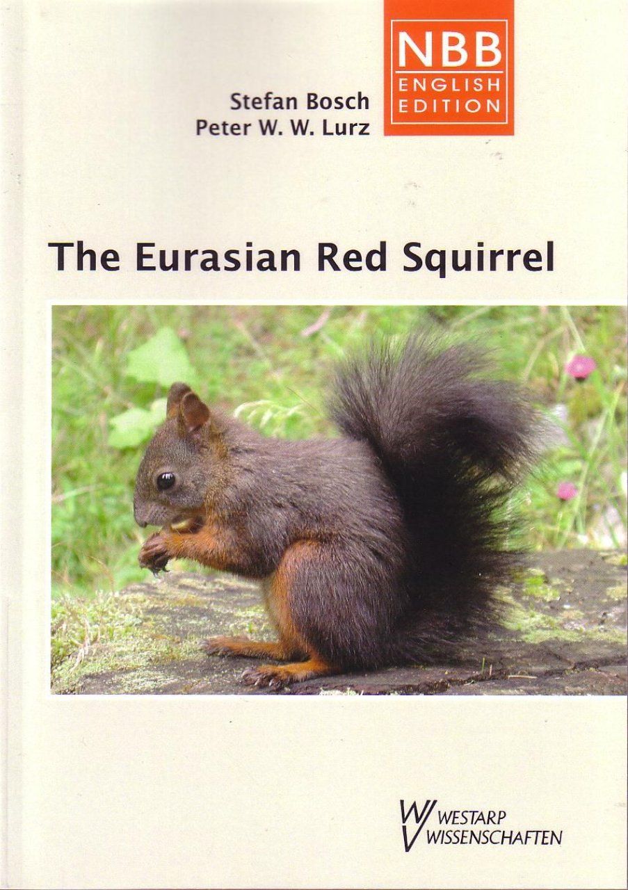 The Eurasian Red Squirrel