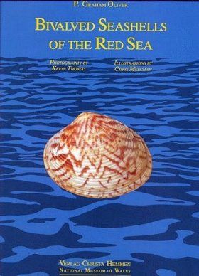 Bivalved Seashells of the Red Sea