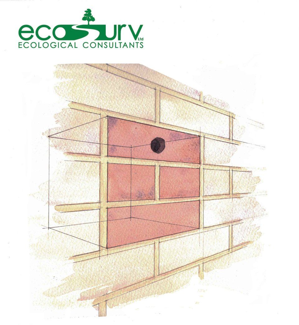 Starling Box - Custom Brick Facing