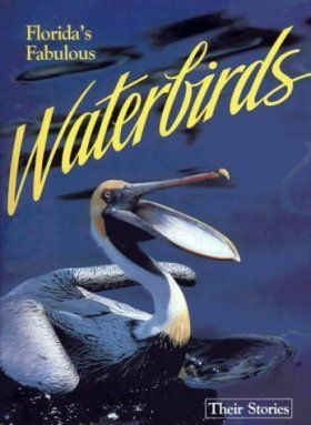 Florida&#039;s Fabulous Waterbirds
