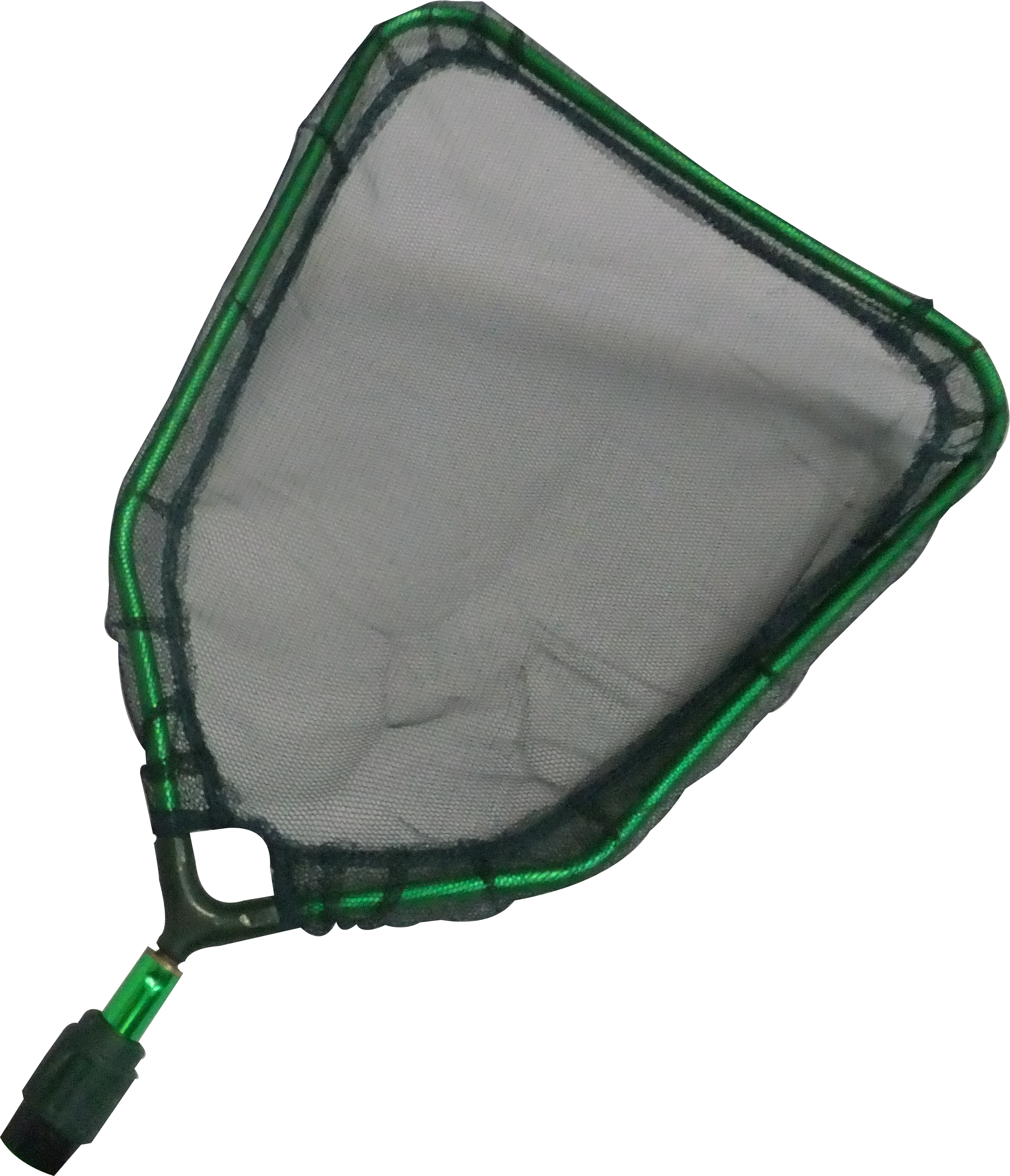 Herpetology Net Head
