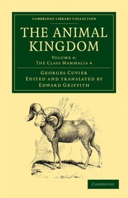 The Animal Kingdom, Volume 4