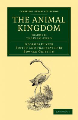 The Animal Kingdom, Volume 8