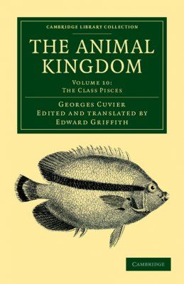 The Animal Kingdom, Volume 10