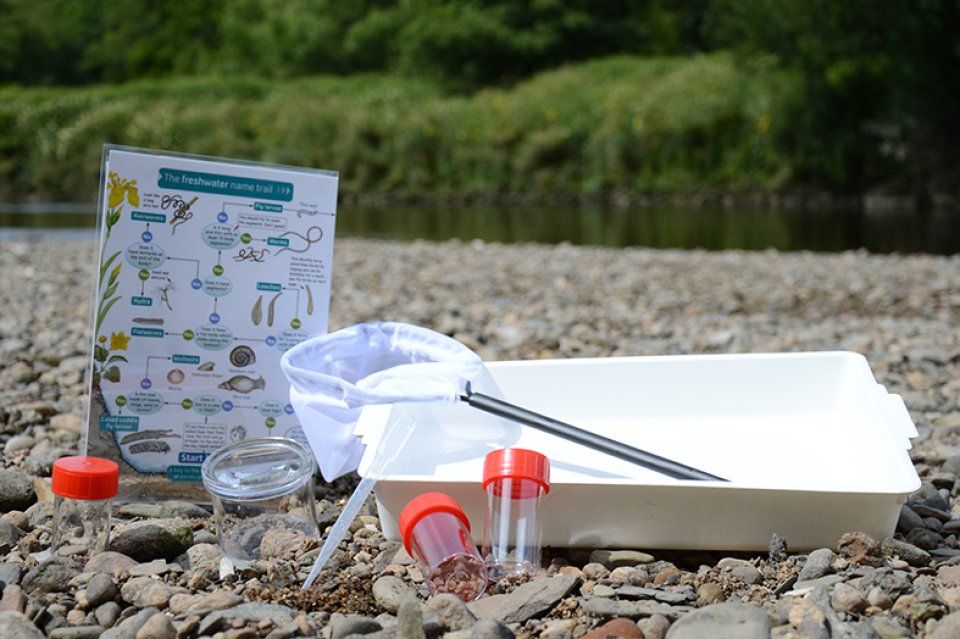 Pond Dipping Kit