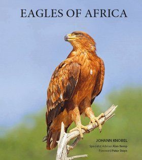 Eagles of Africa