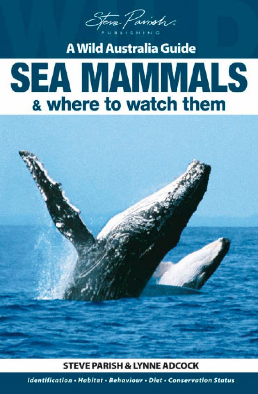 Wild Australia Guide: Sea Mammals &amp; Where to Watch Them