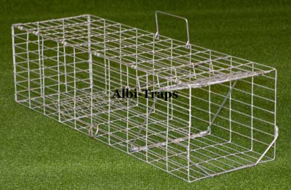 Albion Humane Rabbit Trap