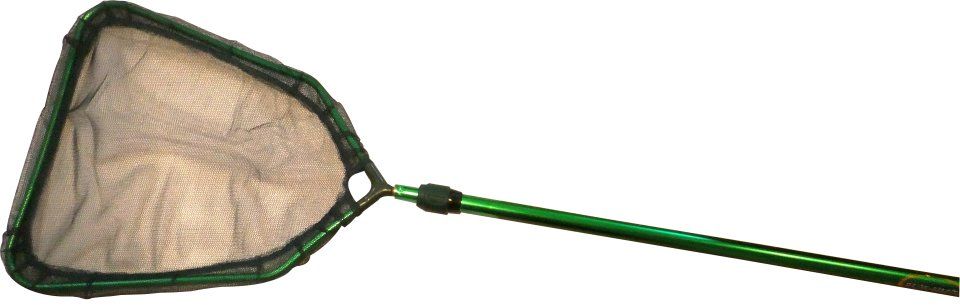 Herpetology Net