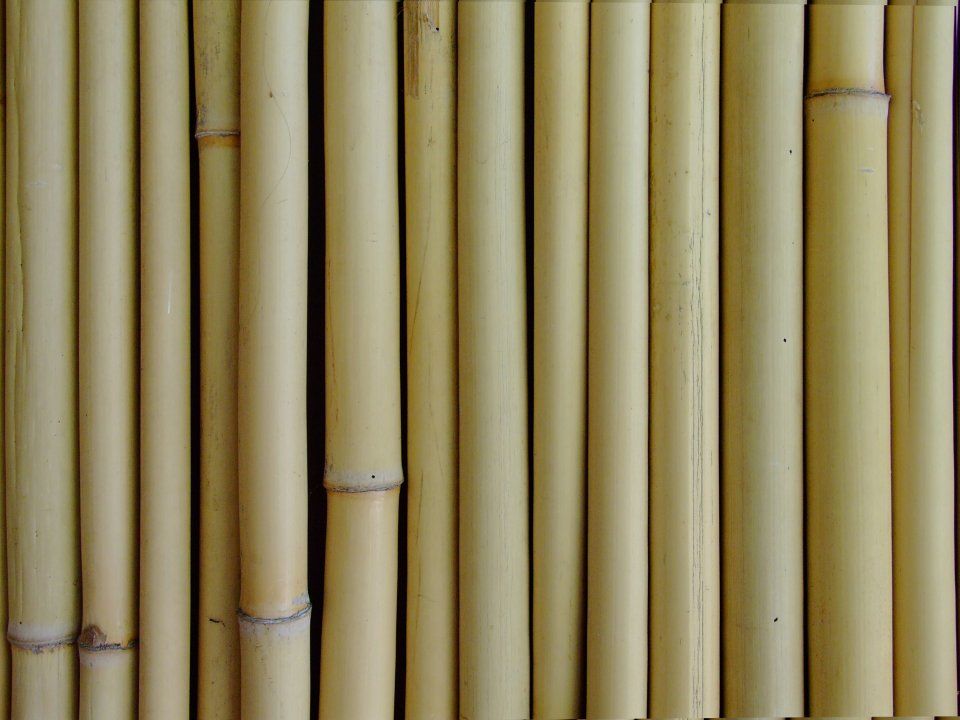 Bamboo Canes